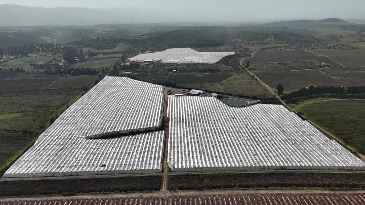Vista aérea de campos con parrones cubiertos y paisaje del valle